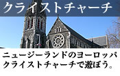 �˥塼�������ɤΥ衼���åѡ����饤���ȥ��㡼����ͷ�ܤ���